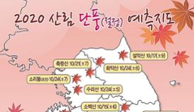 주요 산 단풍 절정 시기는? 10월 중순부터…지리산 12일·설악산 17일 이미지